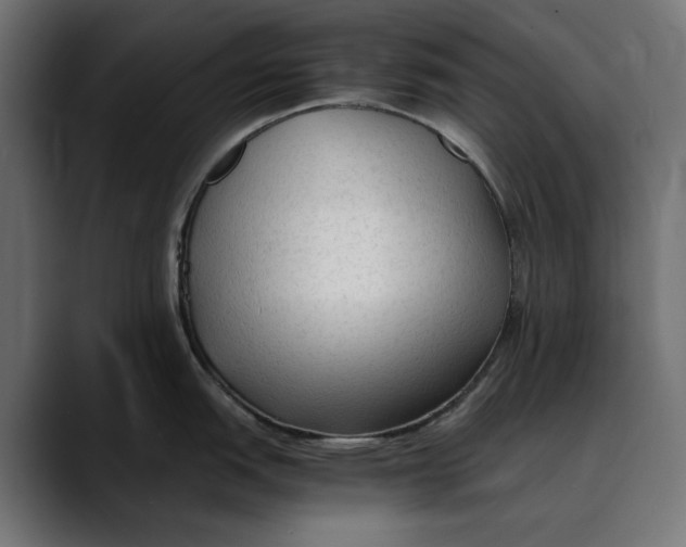 X0000088911151200707061341