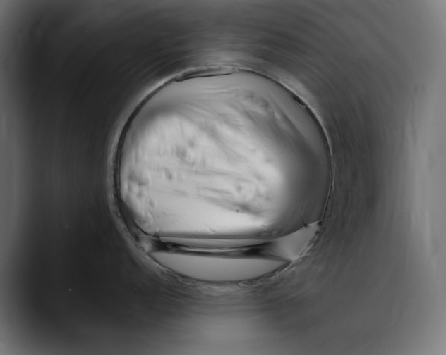 X0000088911152200707061341