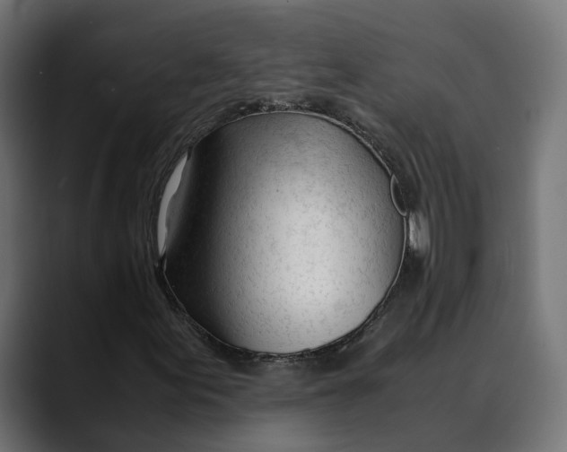 X0000088911155200707061340