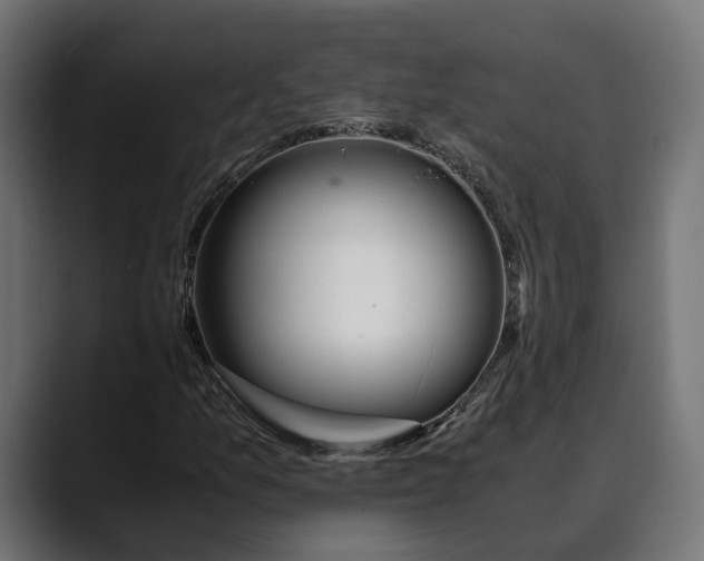 X0000088911157200707061340