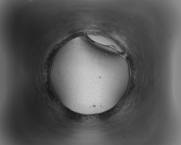 X0000088911159200707061340