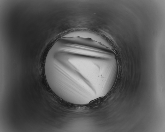 X0000088911160200707061340