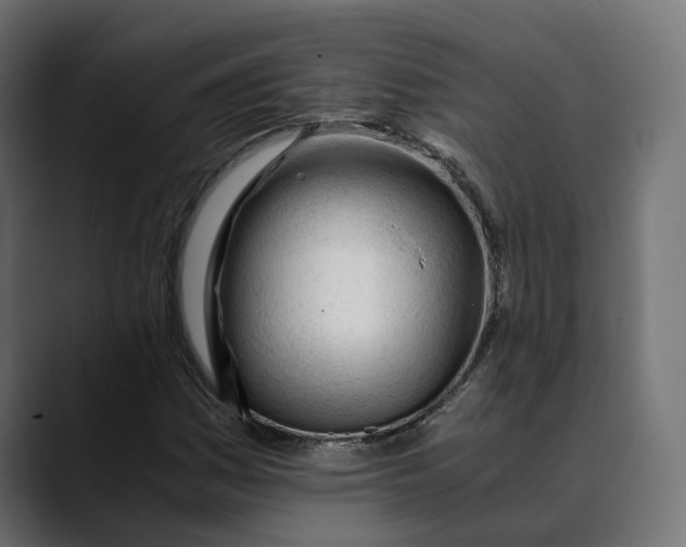 X0000088911161200707061340