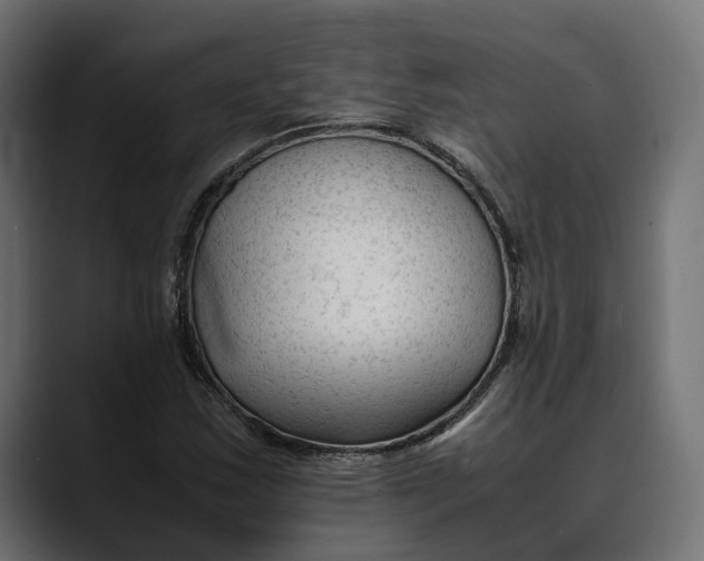 X0000088911163200707061340