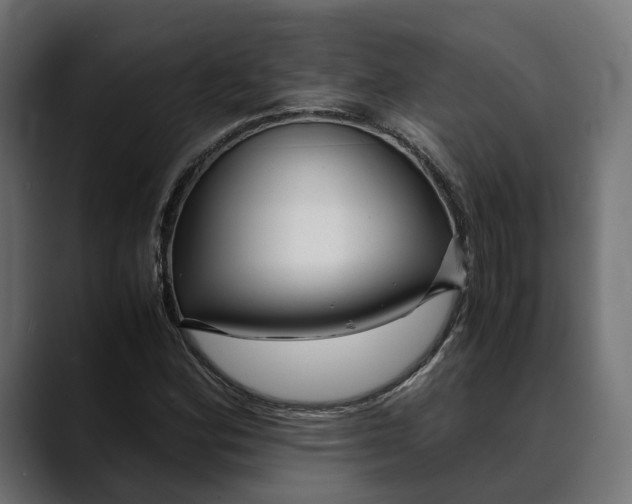 X0000088911164200707061340