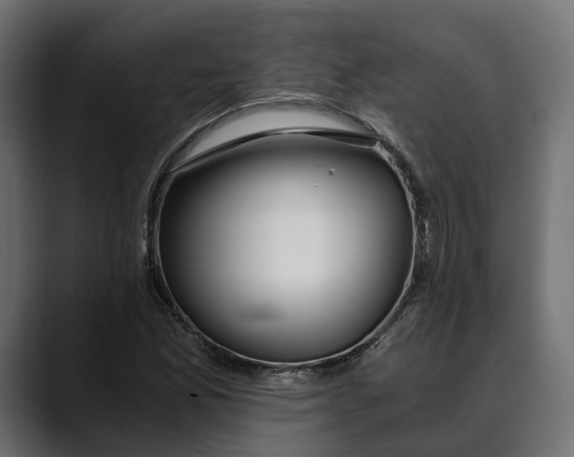 X0000088911165200707061340