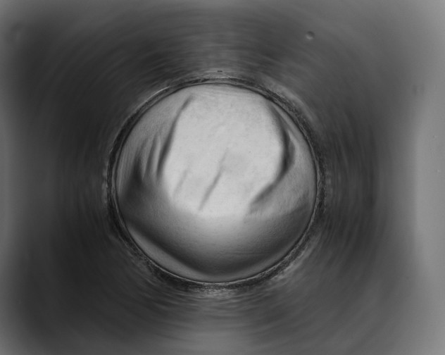 X0000088911170200707061340