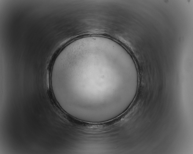 X0000088911171200707061340