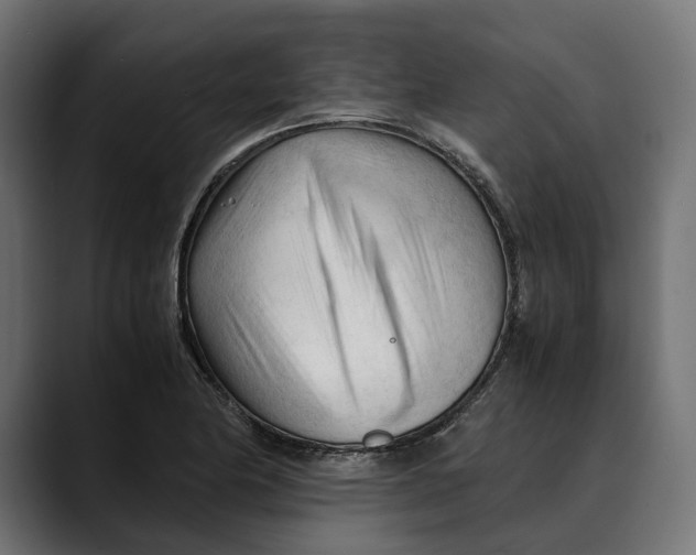 X0000088911174200707061340