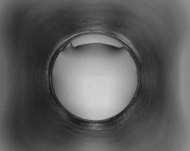 X0000088911176200707061340