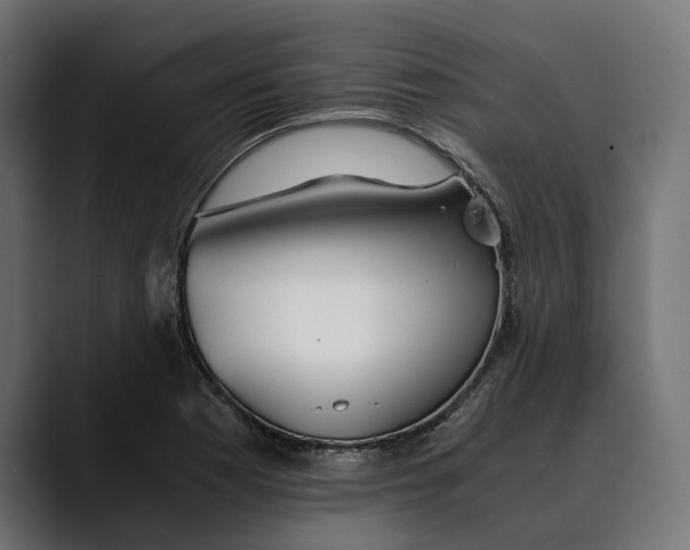 X0000088911177200707061340