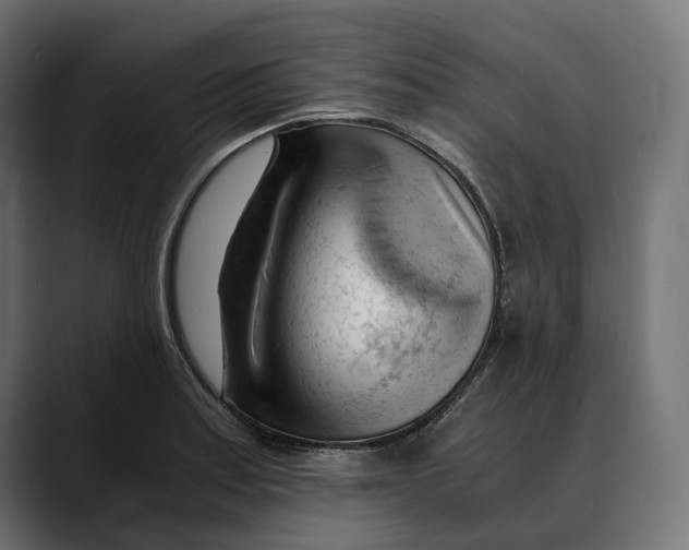 X0000088911179200707061340