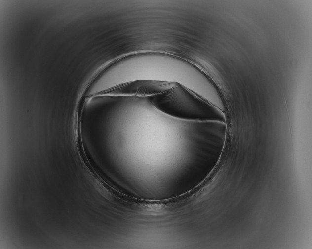 X0000088911180200707061340