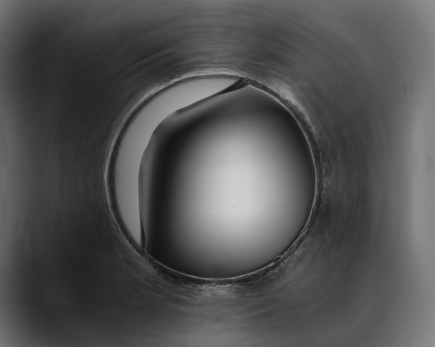 X0000088911181200707061340