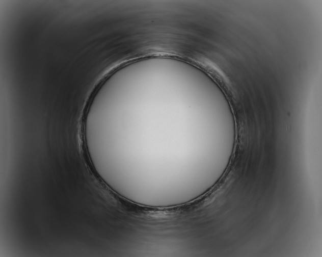 X0000088911182200707061340