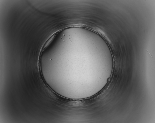 X0000088911186200707061340