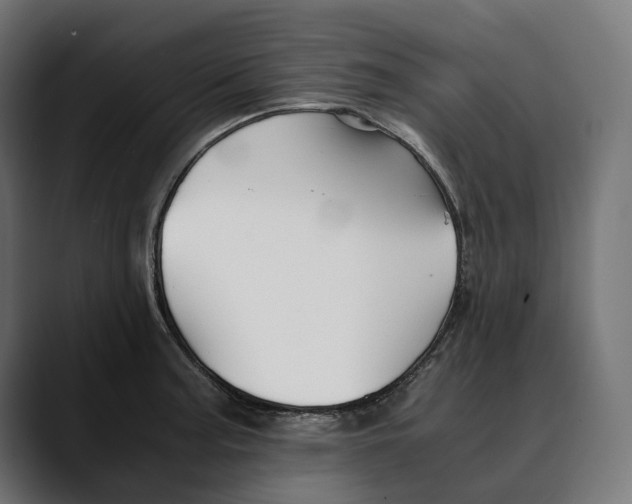 X0000088911187200707061340