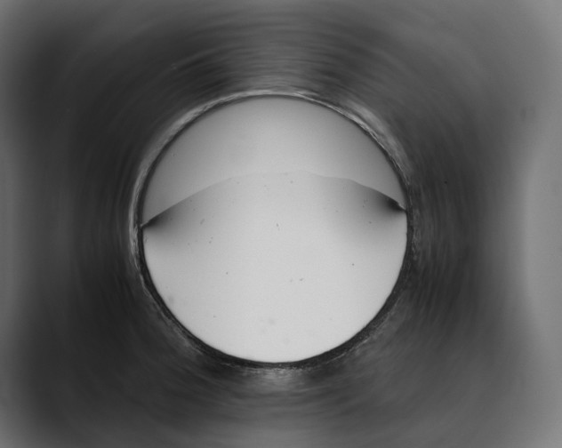 X0000088911188200707061340