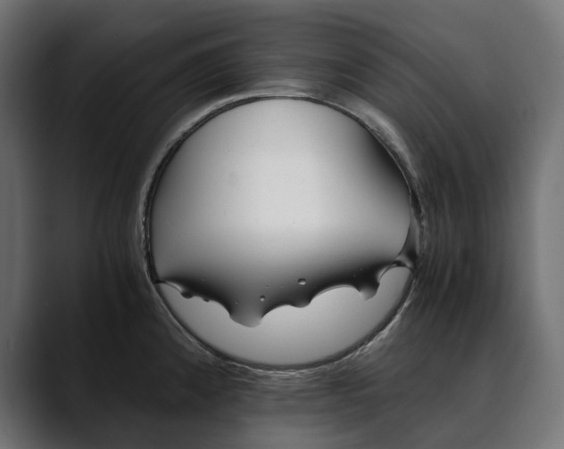 X0000088911192200707061340