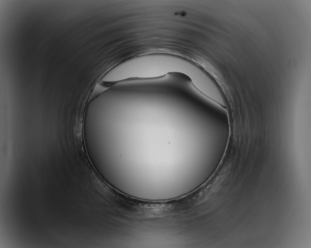 X0000088911193200707061340