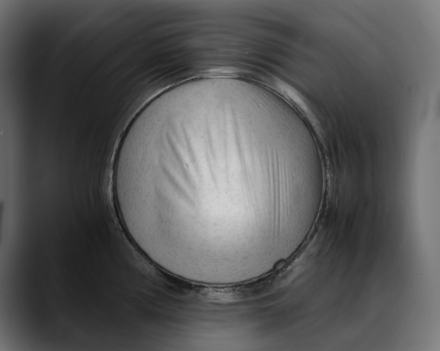 X0000088911194200707061340