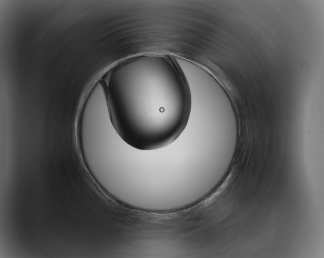 X0000088911196200707061340