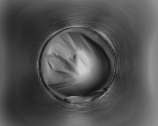 X0000088911197200707061340