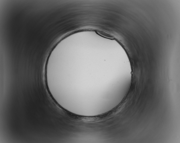 X0000088911199200707061340