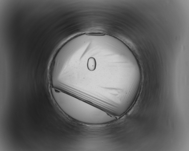 X0000088911200200707061340