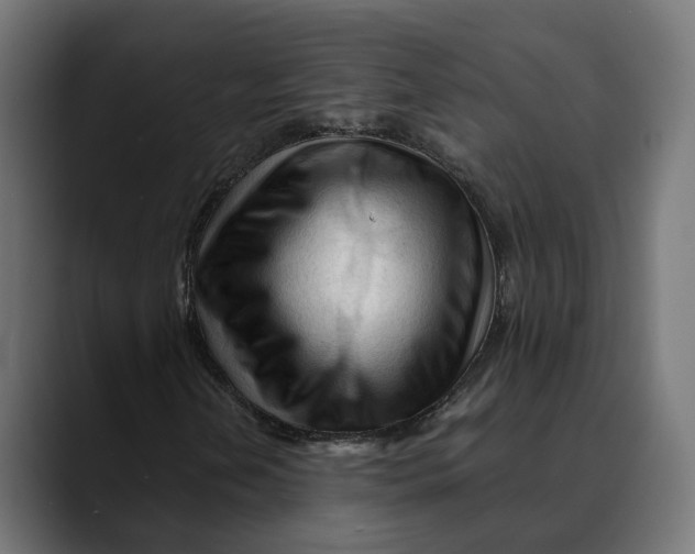 X0000088911202200707061339