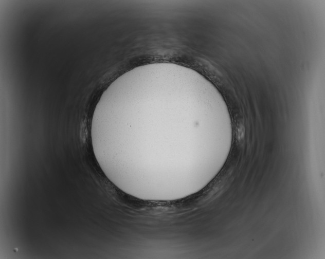 X0000088911204200707061339