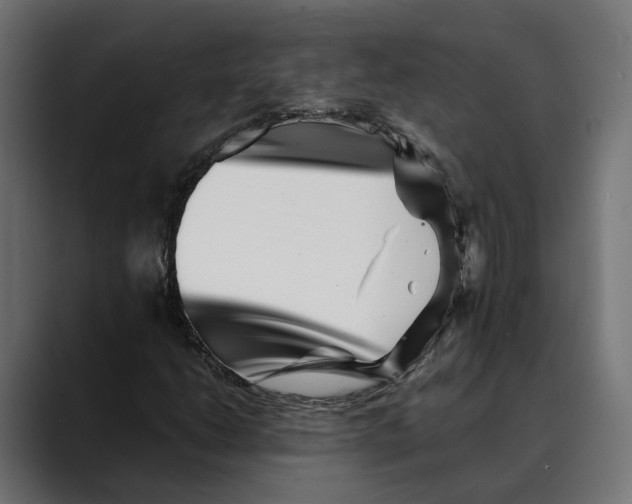 X0000088911206200707061339