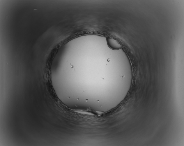 X0000088911207200707061339