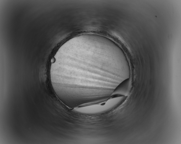 X0000088911213200707061339