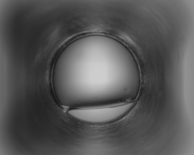 X0000088911216200707061339