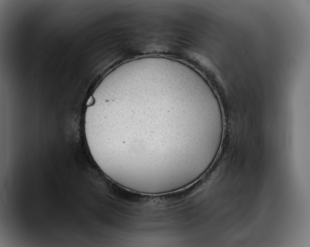 X0000088911217200707061339