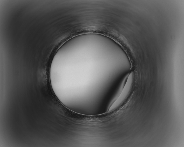 X0000088911218200707061339