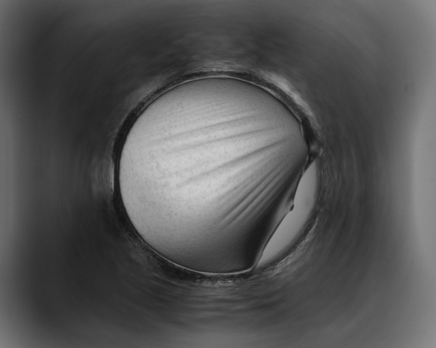 X0000088911221200707061339