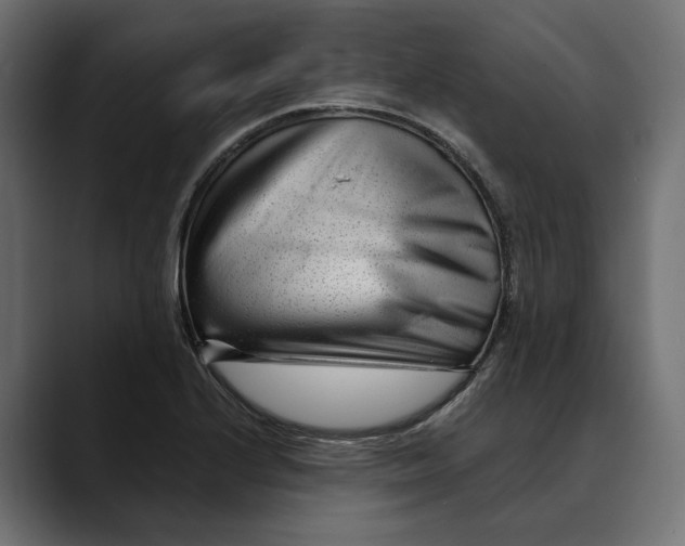 X0000088911224200707061339