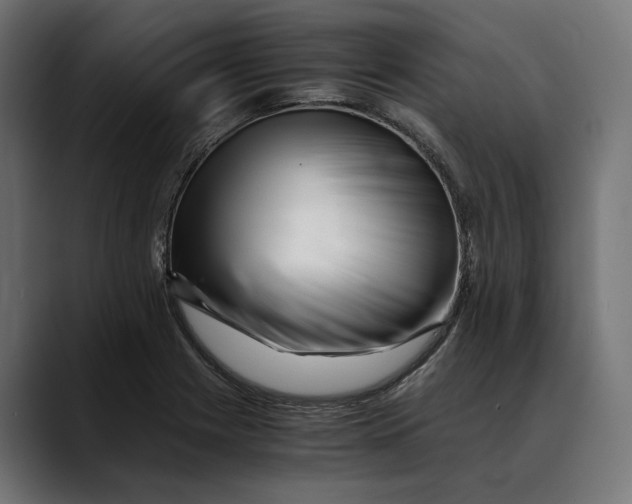 X0000088911225200707061339