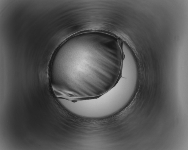 X0000088911226200707061339