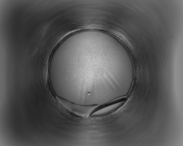 X0000088911228200707061339