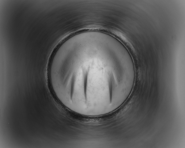 X0000088911229200707061339