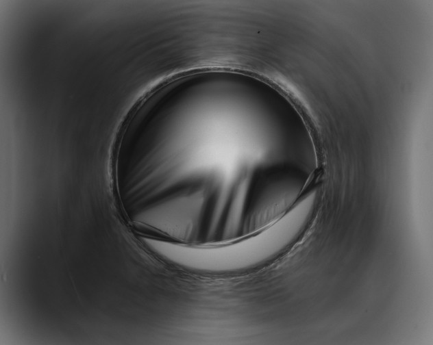 X0000088911230200707061339