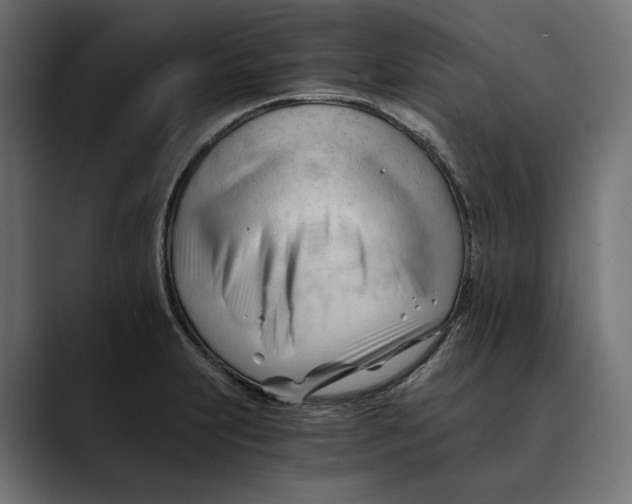 X0000088911231200707061339