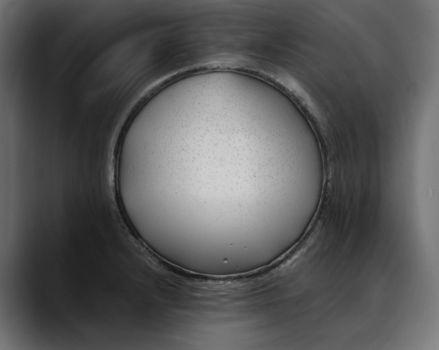 X0000088911232200707061339