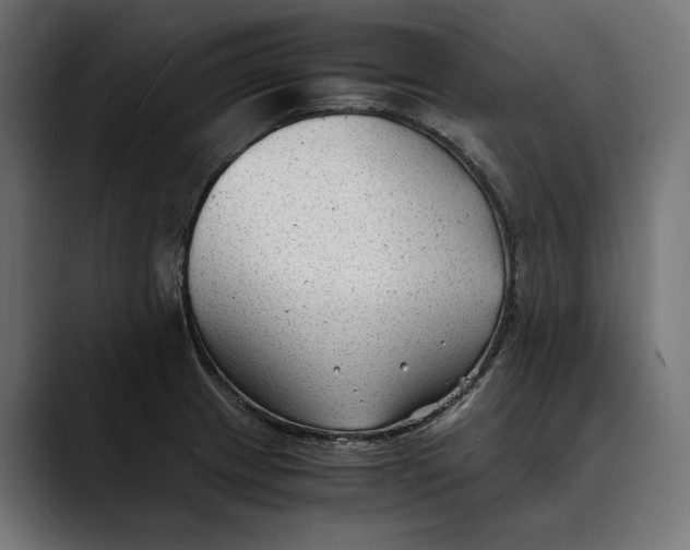 X0000088911233200707061339