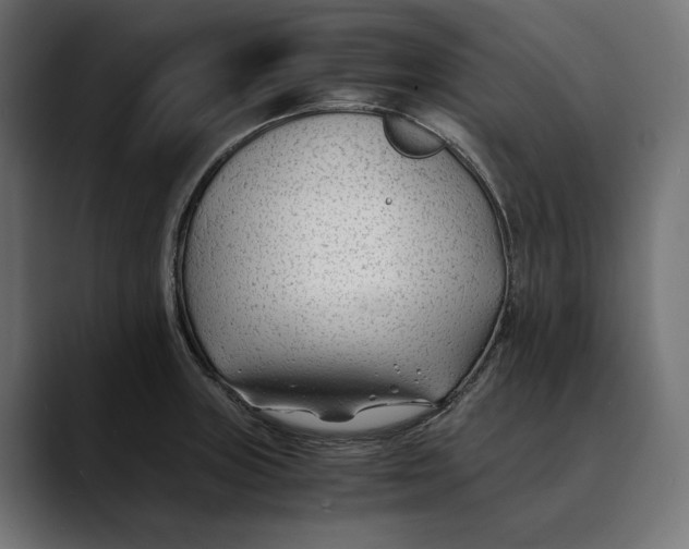 X0000088911235200707061339