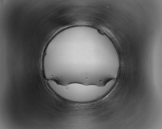 X0000088911236200707061339