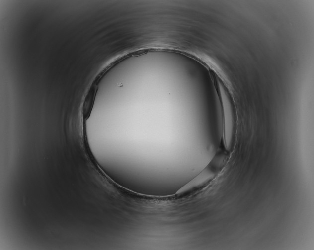 X0000088911238200707061339